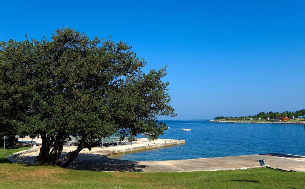 Mobile Homes Premium Vista Mare Park By Camp4you Holiday park